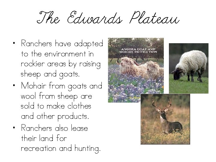 The Edwards Plateau • Ranchers have adapted to the environment in rockier areas by