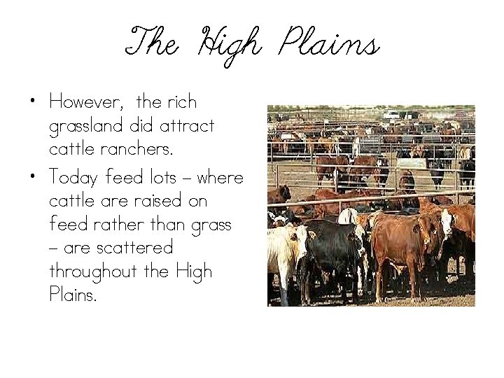 The High Plains • However, the rich grassland did attract cattle ranchers. • Today