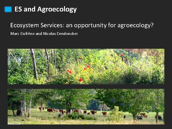 ES and Agroecology Ecosystem Services: an opportunity for agroecology? Marc Dufrêne and Nicolas Dendoncker