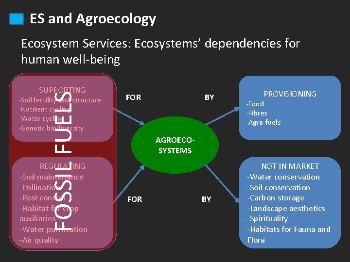 ES and Agroecology Ecosystem Services: Ecosystems’ dependencies for human well-being FOSSIL FUELS SUPPORTING -Soil