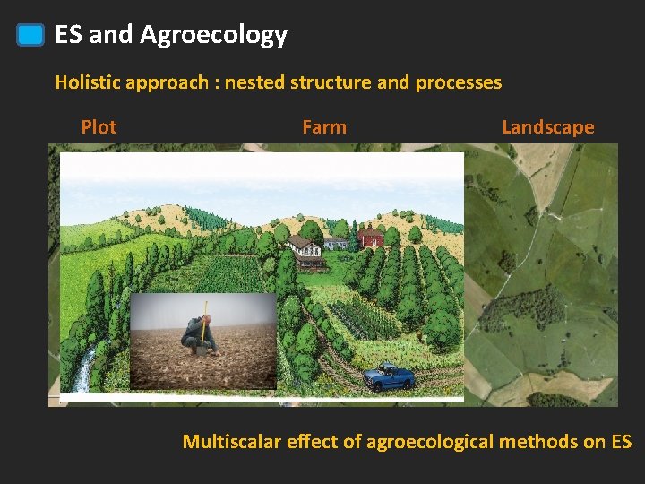 ES and Agroecology Holistic approach : nested structure and processes Plot Farm Landscape Multiscalar