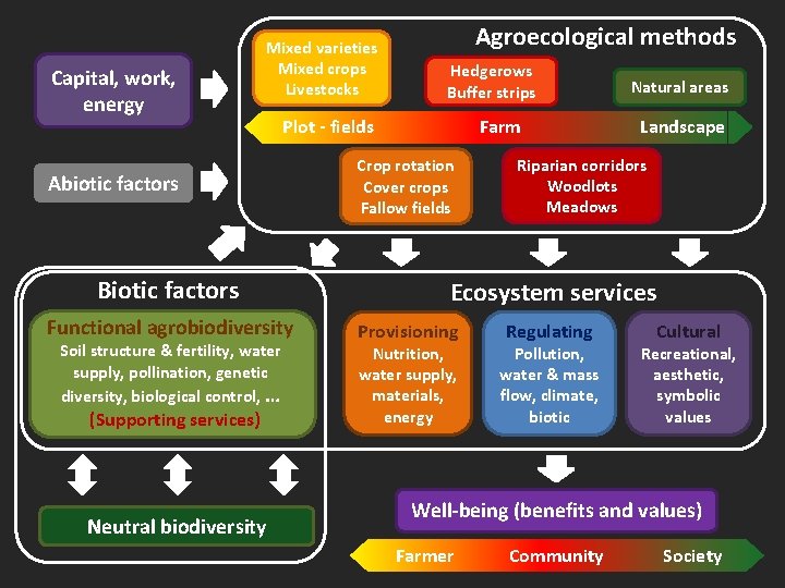 Capital, work, energy Agroecological methods Mixed varieties Mixed crops Livestocks Plot - fields Functional