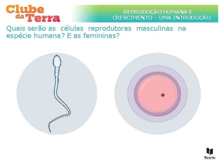 TÍTULO DO ASSUNTO A SER TRATADO NESTE POWERPOINTEQUE TEM REPRODUÇÃO HUMANA UM TÍTULO CRESCIMENTO