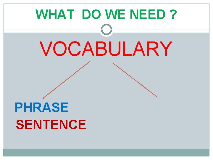 WHAT DO WE NEED ? VOCABULARY PHRASE SENTENCE 