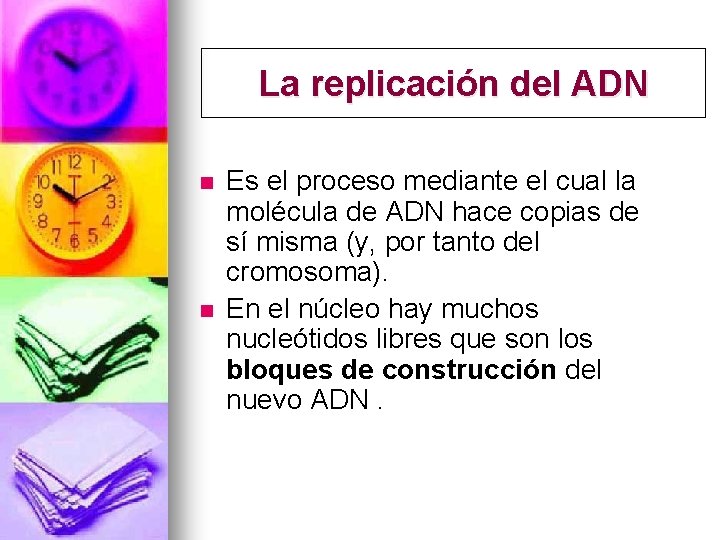 La replicación del ADN n n Es el proceso mediante el cual la molécula