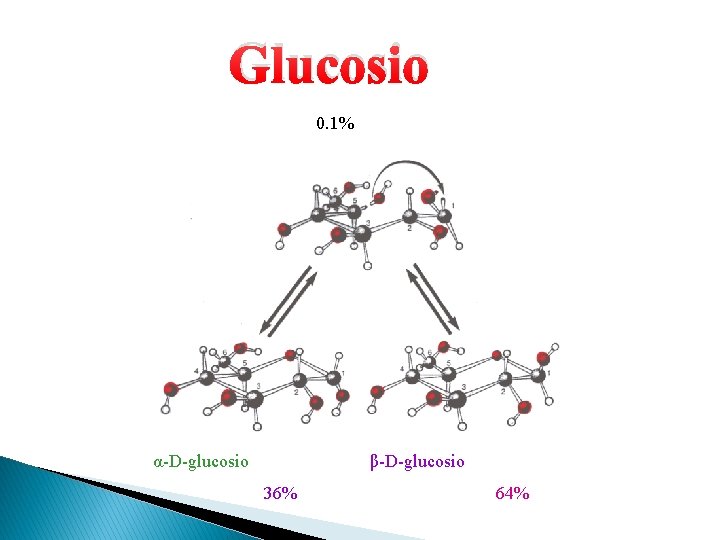 Glucosio 0. 1% α-D-glucosio β-D-glucosio 36% 64% 