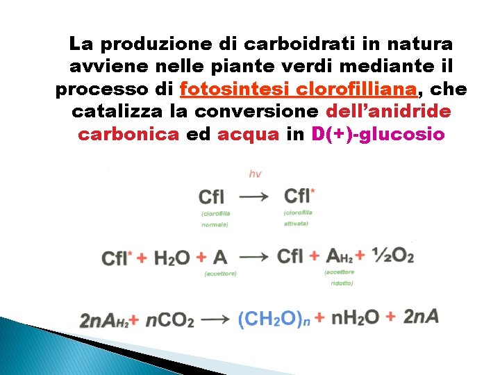 La produzione di carboidrati in natura avviene nelle piante verdi mediante il processo di
