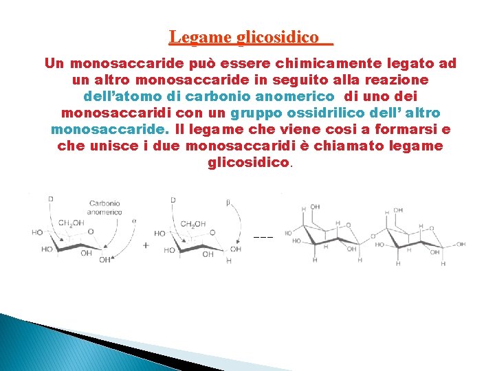 Legame glicosidico Un monosaccaride può essere chimicamente legato ad un altro monosaccaride in seguito