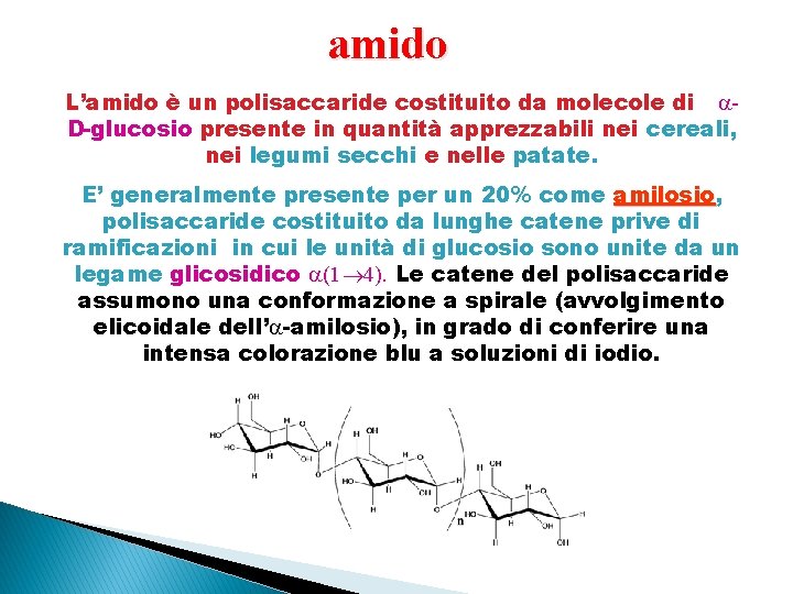 amido L’amido è un polisaccaride costituito da molecole di D-glucosio presente in quantità apprezzabili