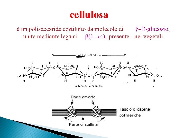 cellulosa è un polisaccaride costituito da molecole di -D-glucosio, unite mediante legami (1 4),