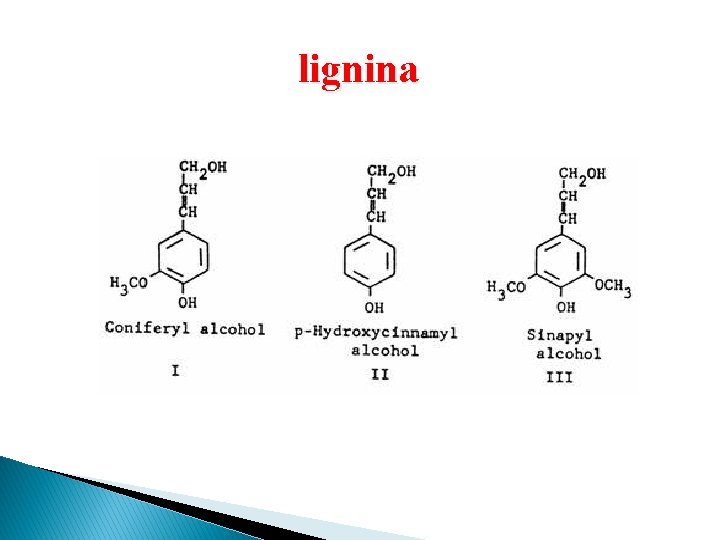 lignina 