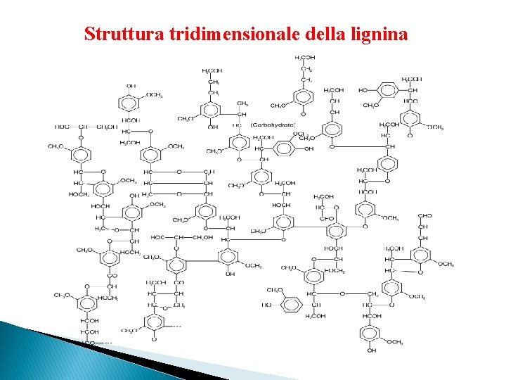 Struttura tridimensionale della lignina 