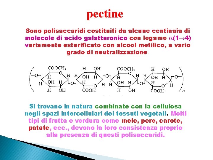 pectine Sono polisaccaridi costituiti da alcune centinaia di molecole di acido galatturonico con legame