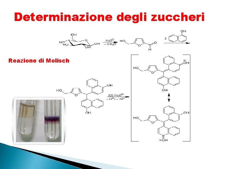 Determinazione degli zuccheri Reazione di Molisch 