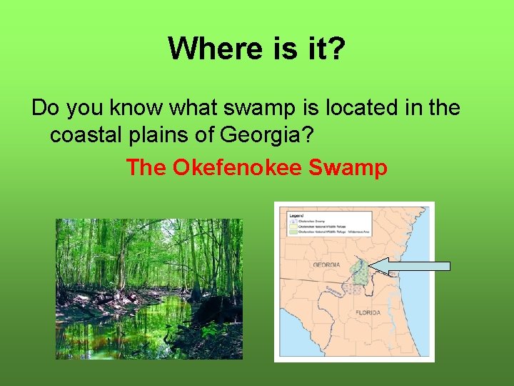 Where is it? Do you know what swamp is located in the coastal plains