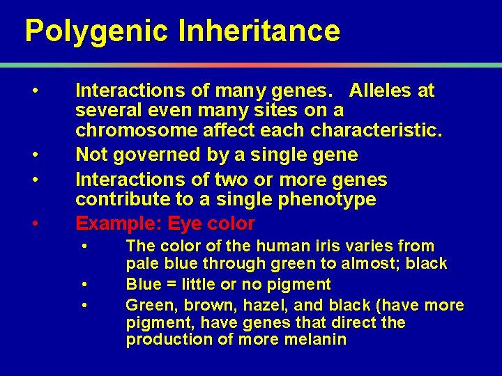 Polygenic Inheritance • • Interactions of many genes. Alleles at several even many sites