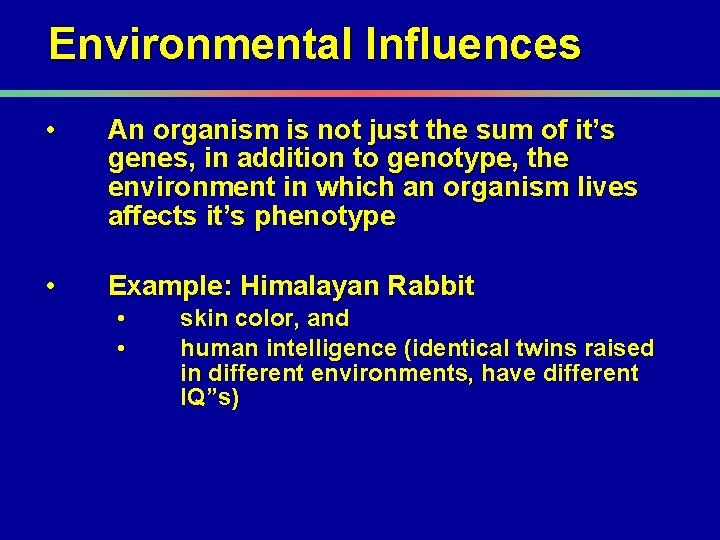 Environmental Influences • An organism is not just the sum of it’s genes, in