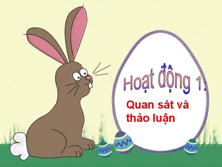 Quan sát và thảo luận 