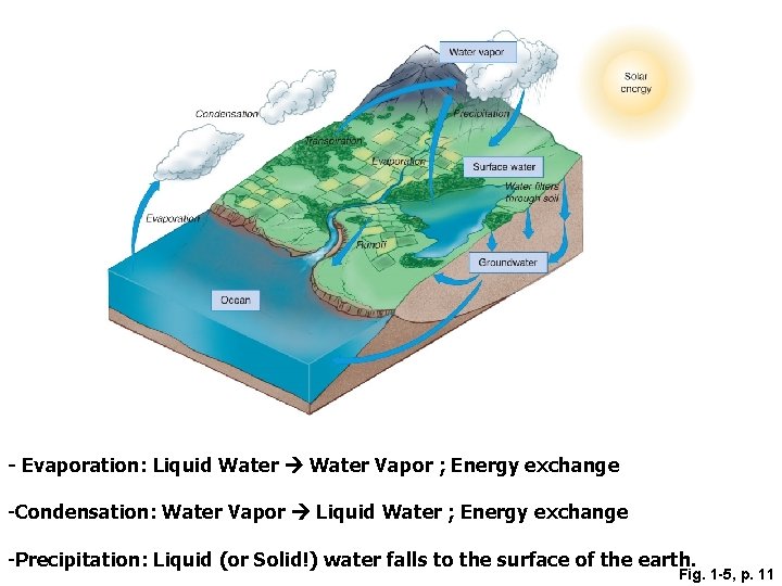 - Evaporation: Liquid Water Vapor ; Energy exchange -Condensation: Water Vapor Liquid Water ;