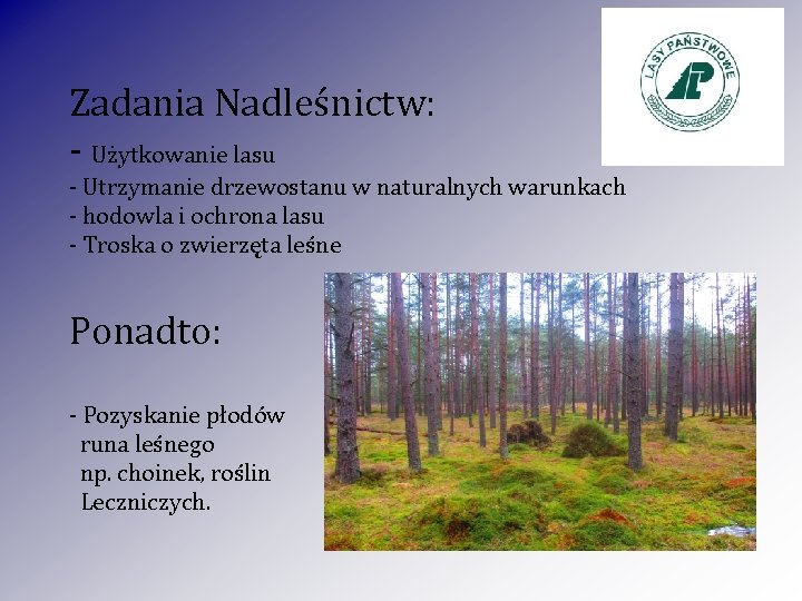 Zadania Nadleśnictw: - Użytkowanie lasu - Utrzymanie drzewostanu w naturalnych warunkach - hodowla i Zadania Nadleśnictw: - Użytkowanie lasu - Utrzymanie drzewostanu w naturalnych warunkach - hodowla i