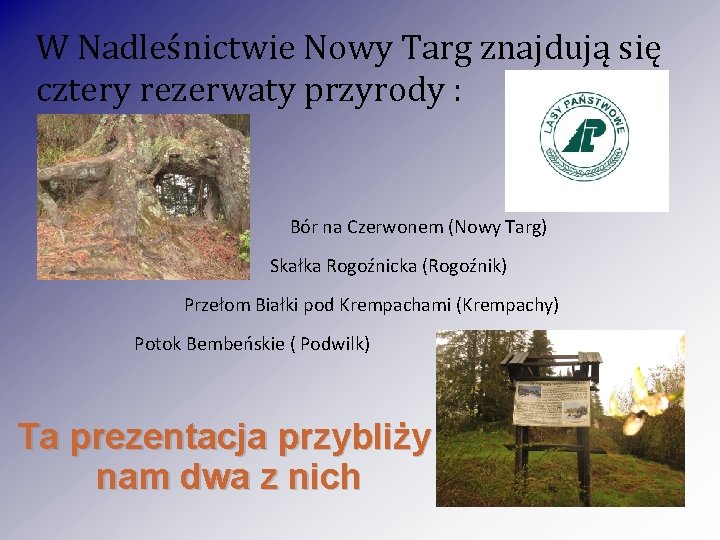 W Nadleśnictwie Nowy Targ znajdują się cztery rezerwaty przyrody : Bór na Czerwonem (Nowy W Nadleśnictwie Nowy Targ znajdują się cztery rezerwaty przyrody : Bór na Czerwonem (Nowy