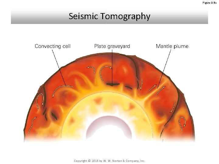 Figure D. 8 c Seismic Tomography Copyright © 2016 by W. W. Norton & Figure D. 8 c Seismic Tomography Copyright © 2016 by W. W. Norton &