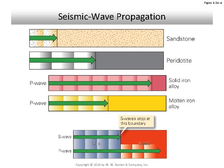 Figure D. 2 b–d Seismic-Wave Propagation Copyright © 2016 by W. W. Norton & Figure D. 2 b–d Seismic-Wave Propagation Copyright © 2016 by W. W. Norton &