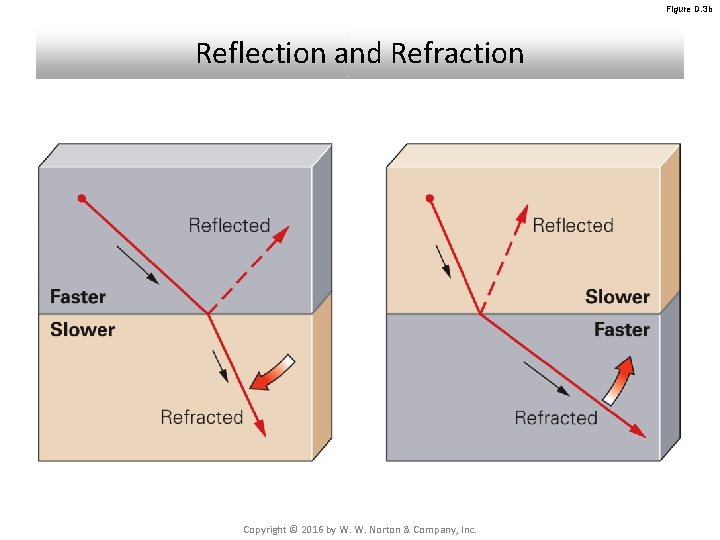 Figure D. 3 b Reflection and Refraction Copyright © 2016 by W. W. Norton Figure D. 3 b Reflection and Refraction Copyright © 2016 by W. W. Norton