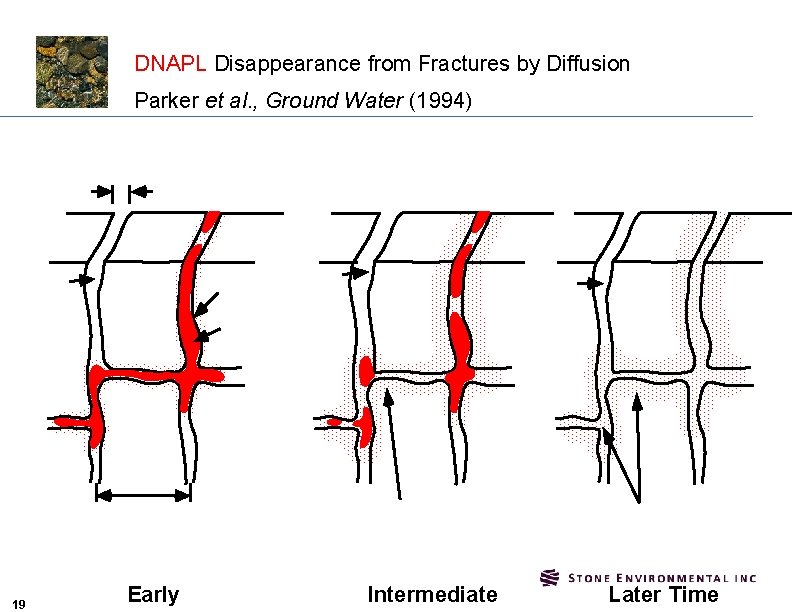 DNAPL Disappearance from Fractures by Diffusion Parker et al. , Ground Water (1994) Fracture