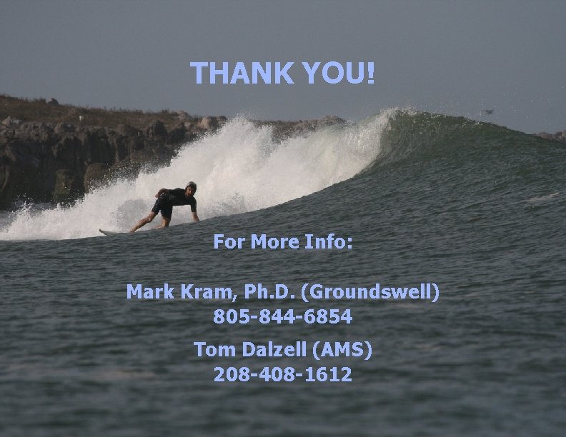 THANK YOU! For More Info: Mark Kram, Ph. D. (Groundswell) 805 -844 -6854 Tom