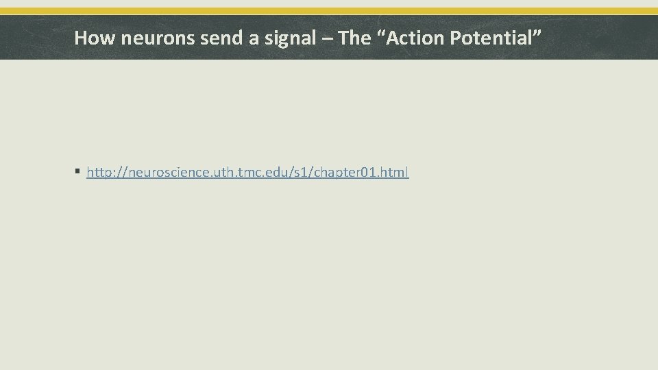 How neurons send a signal – The “Action Potential” § http: //neuroscience. uth. tmc.