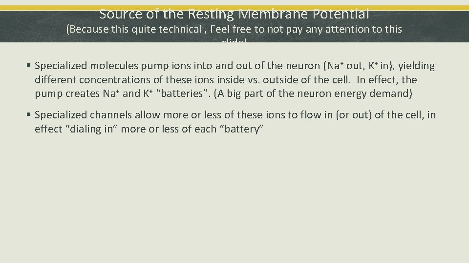 Source of the Resting Membrane Potential (Because this quite technical , Feel free to