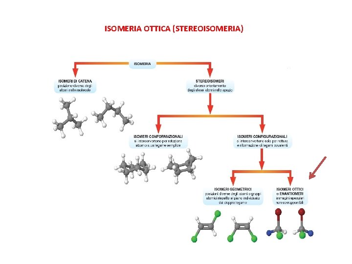 ISOMERIA OTTICA (STEREOISOMERIA) 