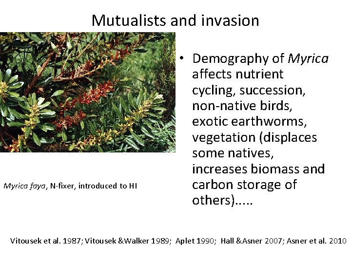 Mutualists and invasion Myrica faya, N-fixer, introduced to HI • Demography of Myrica affects