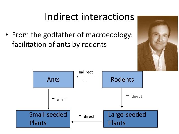 Indirect interactions • From the godfather of macroecology: facilitation of ants by rodents Indirect