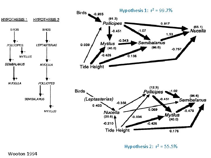 Hypothesis 1: r 2 = 99. 7% Hypothesis 2: r 2 = 55. 5%