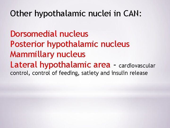 Other hypothalamic nuclei in CAN: Dorsomedial nucleus Posterior hypothalamic nucleus Mammillary nucleus Lateral hypothalamic