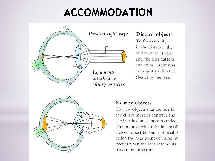 ACCOMMODATION 