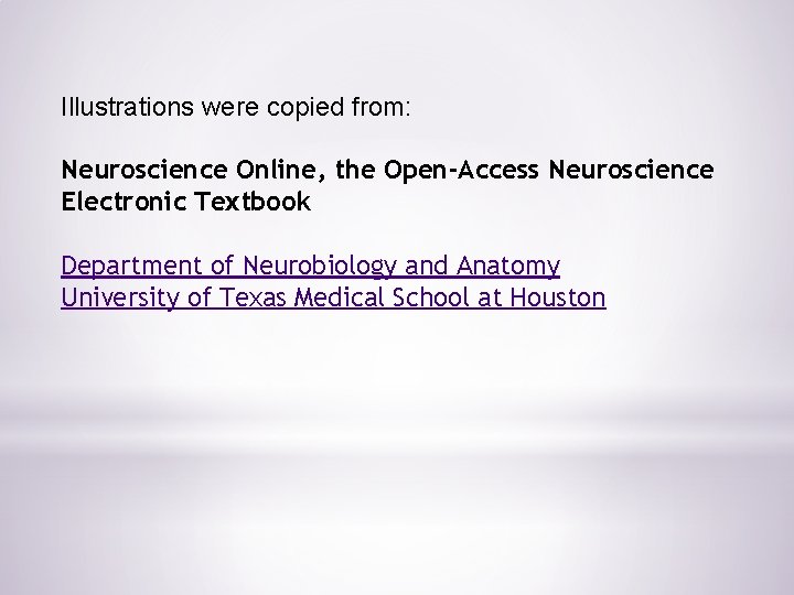 Illustrations were copied from: Neuroscience Online, the Open-Access Neuroscience Electronic Textbook Department of Neurobiology