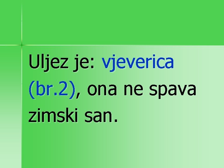 Uljez je: vjeverica (br. 2), ona ne spava zimski san. 