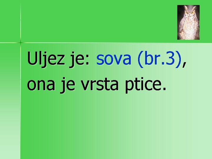 Uljez je: sova (br. 3), ona je vrsta ptice. 