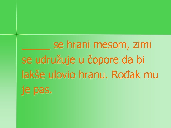 _____ se hrani mesom, zimi se udružuje u čopore da bi lakše ulovio hranu.