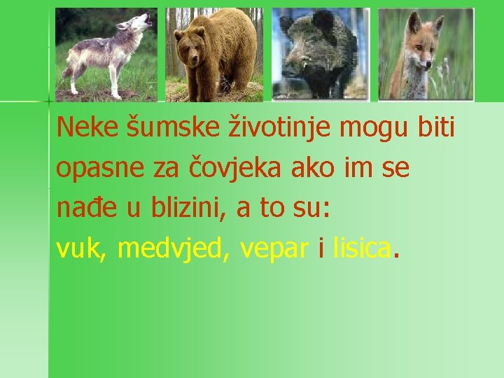 Neke šumske životinje mogu biti opasne za čovjeka ako im se nađe u blizini,