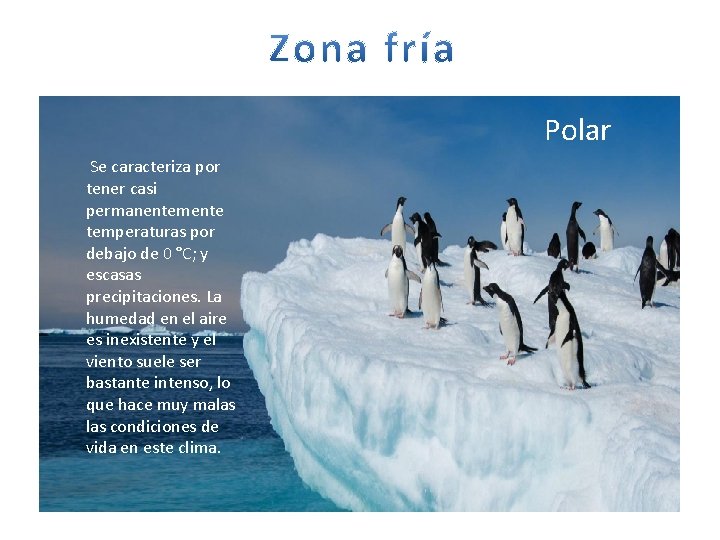 Polar Se caracteriza por tener casi permanentemente temperaturas por debajo de 0 °C; y