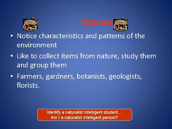 Naturalist • Notice characteristics and patterns of the environment • Like to collect items