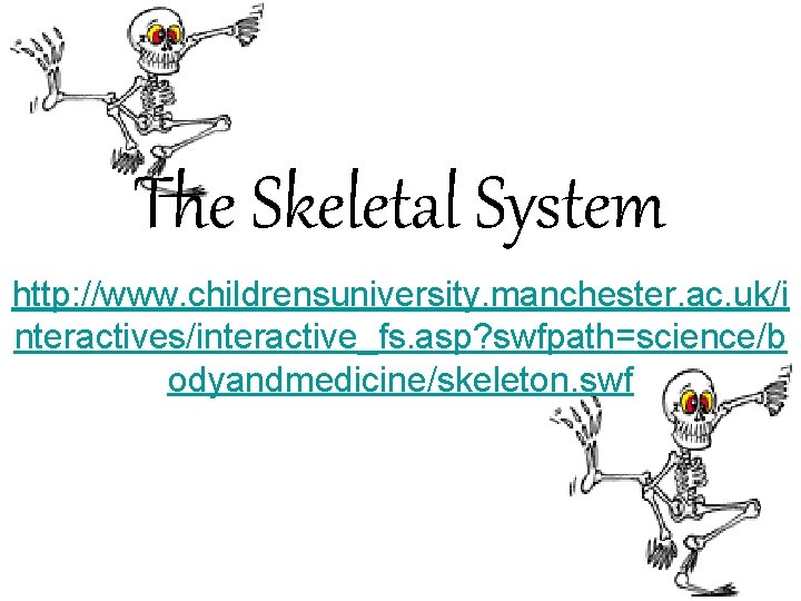 The Skeletal System http: //www. childrensuniversity. manchester. ac. uk/i nteractives/interactive_fs. asp? swfpath=science/b odyandmedicine/skeleton. swf