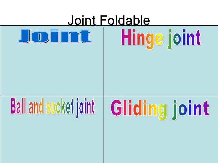 Joint Foldable 