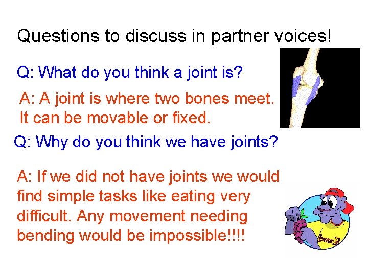 Questions to discuss in partner voices! Q: What do you think a joint is?