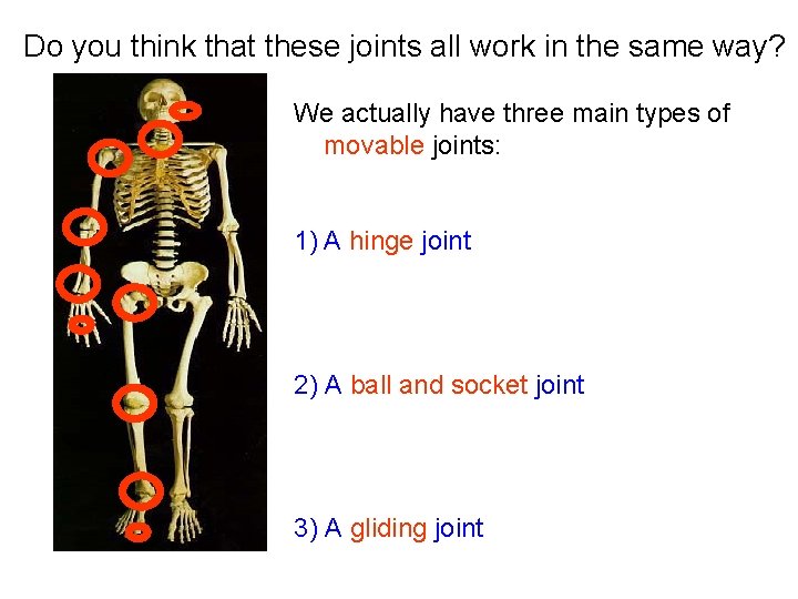 Do you think that these joints all work in the same way? We actually