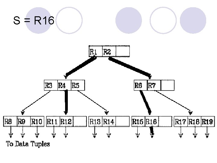 S = R 16 S = R 16